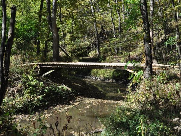 Starhill Forest - Photo: C. Snyers