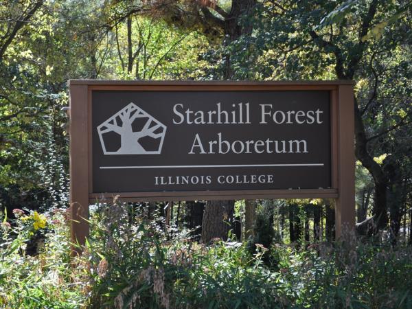 Starhill Forest - Photo: C. Snyers