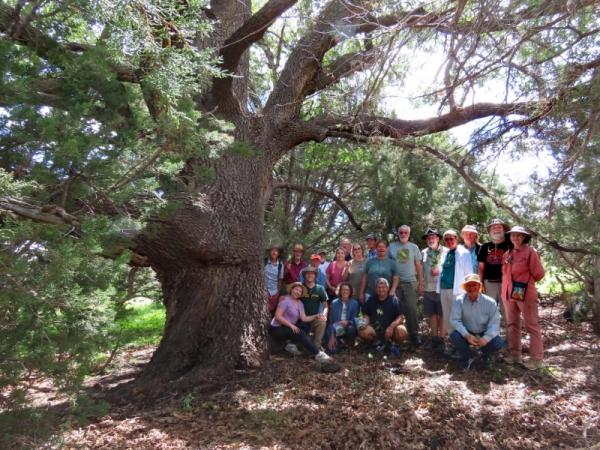Group photo