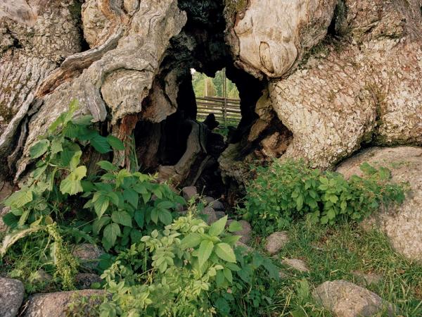 © Gustaf Emanuellson. All rights reserved.