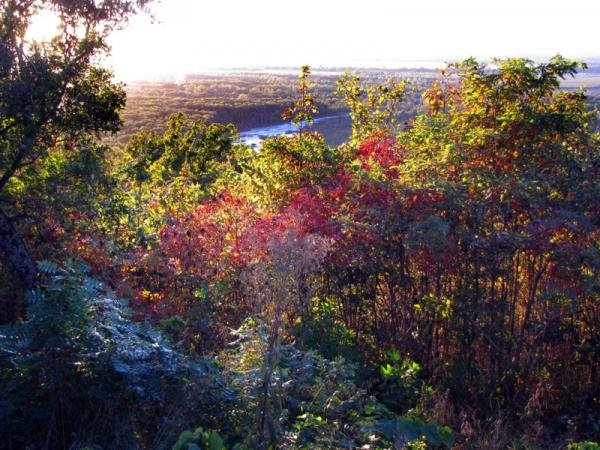 Pine Hills (Shawnee National Forest) - Photo: G. Sternberg
