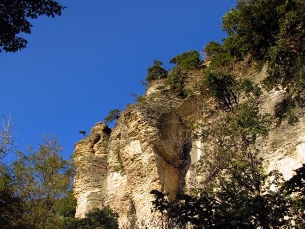 Pine Hills (Shawnee National Forest) - Photo: G. Sternberg