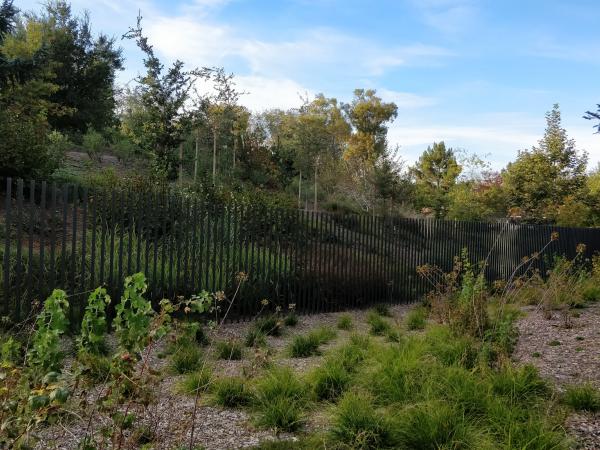 The railings at Apple Park © Charles Snyers