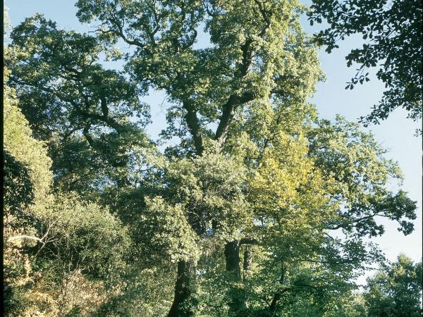 Chateau Arnoux, Alpes-de-Haute-Provence