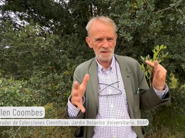 Past IOS President Allen Coombes, Curator of Scientific Collections at Puebla University Botanic Garden, discusses leaf variability in Quercus ceirpes (still image from the documentary)