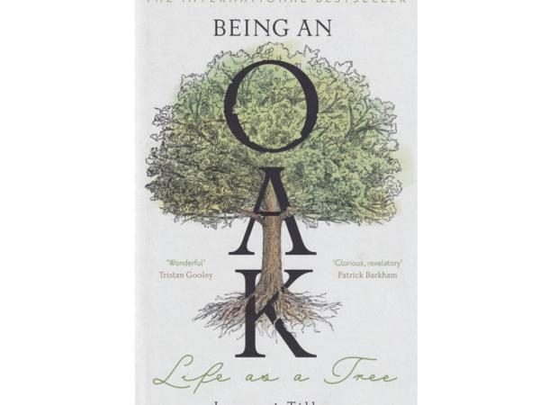 Cover of Being an Oak
