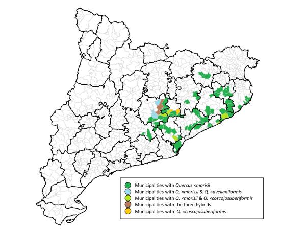 Map of the comarcas of Catalonia indicating the presence of Quercus suber hybrids