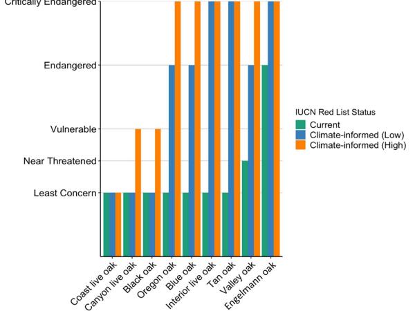 The current Red List status and modelled outlook for the eight Californian oak species, plus tanoak
