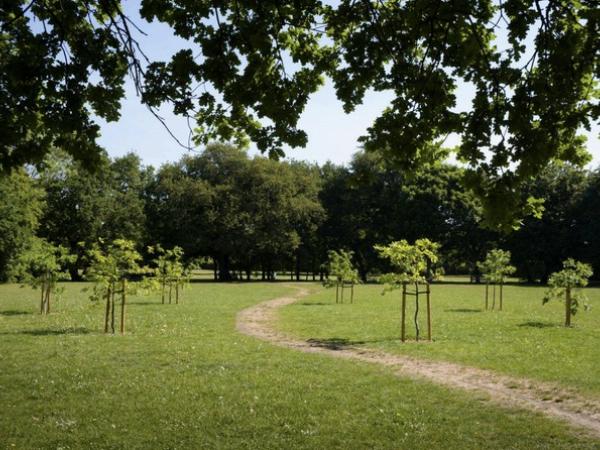 One of the first planted circles on Hampton Common, London, in partnership  with Orleans House Gallery 2025.  © Studio Ackroyd & Harvey