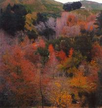 eastwoodhill_photo_2.jpg