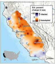 The provenance trial indicated that valley oak growth declines across much of the low-elevation inland range, and growth increases in several coastal and high-elevation regions under a high-emissions scenario.    Figure from Sork et al. (2026).
