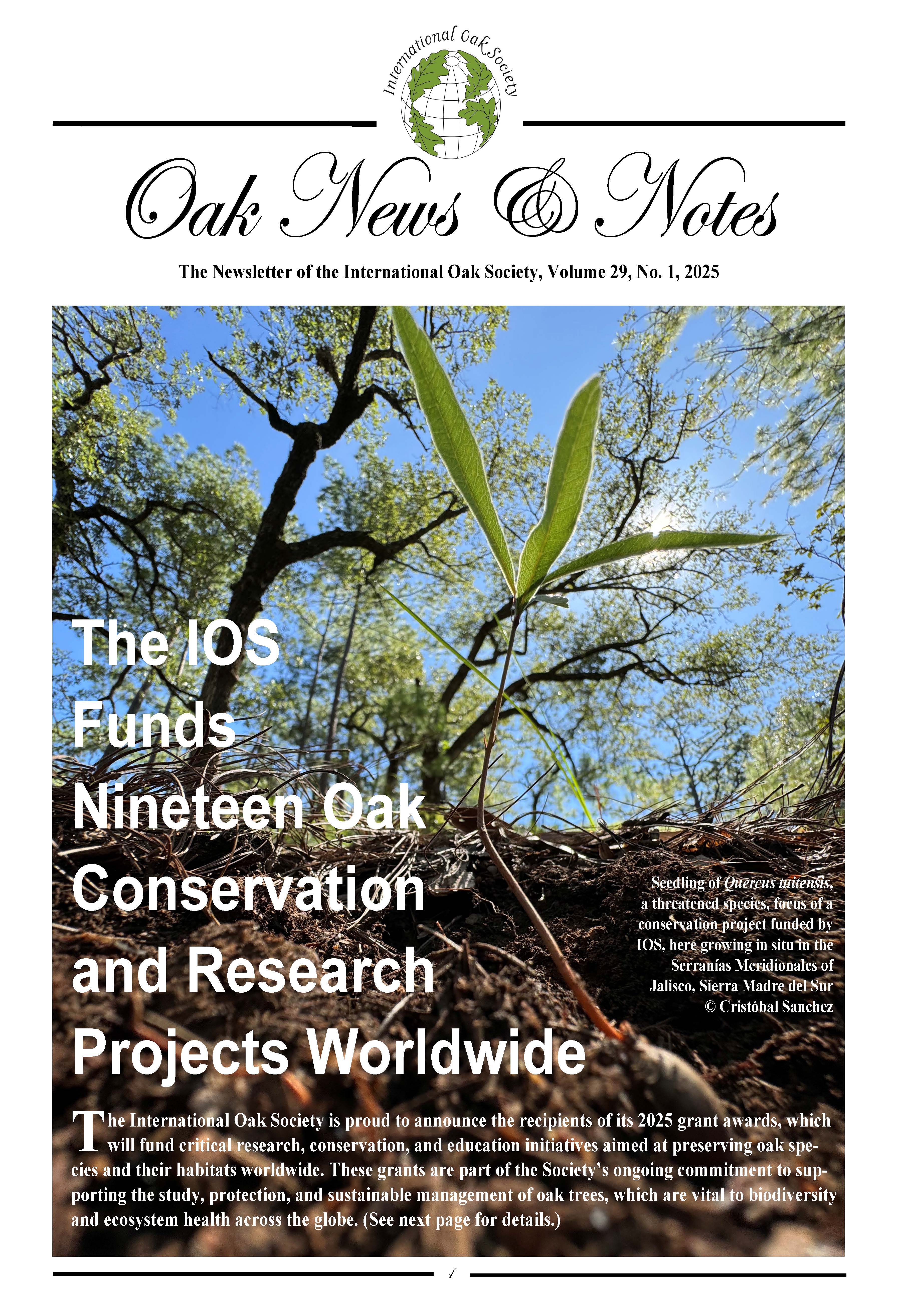 Oak News & Notes, Volume 29, No. 1, 2025 | International Oak Society