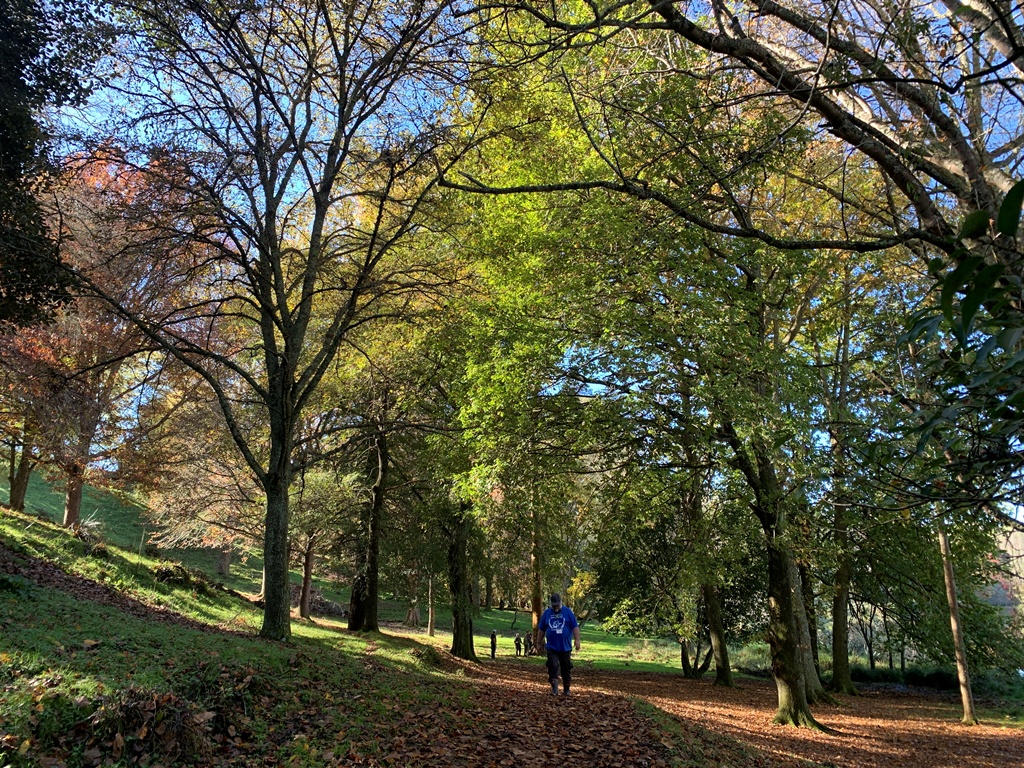 New Zealand Oak Open Days: May 15–18, 2025 | International Oak Society